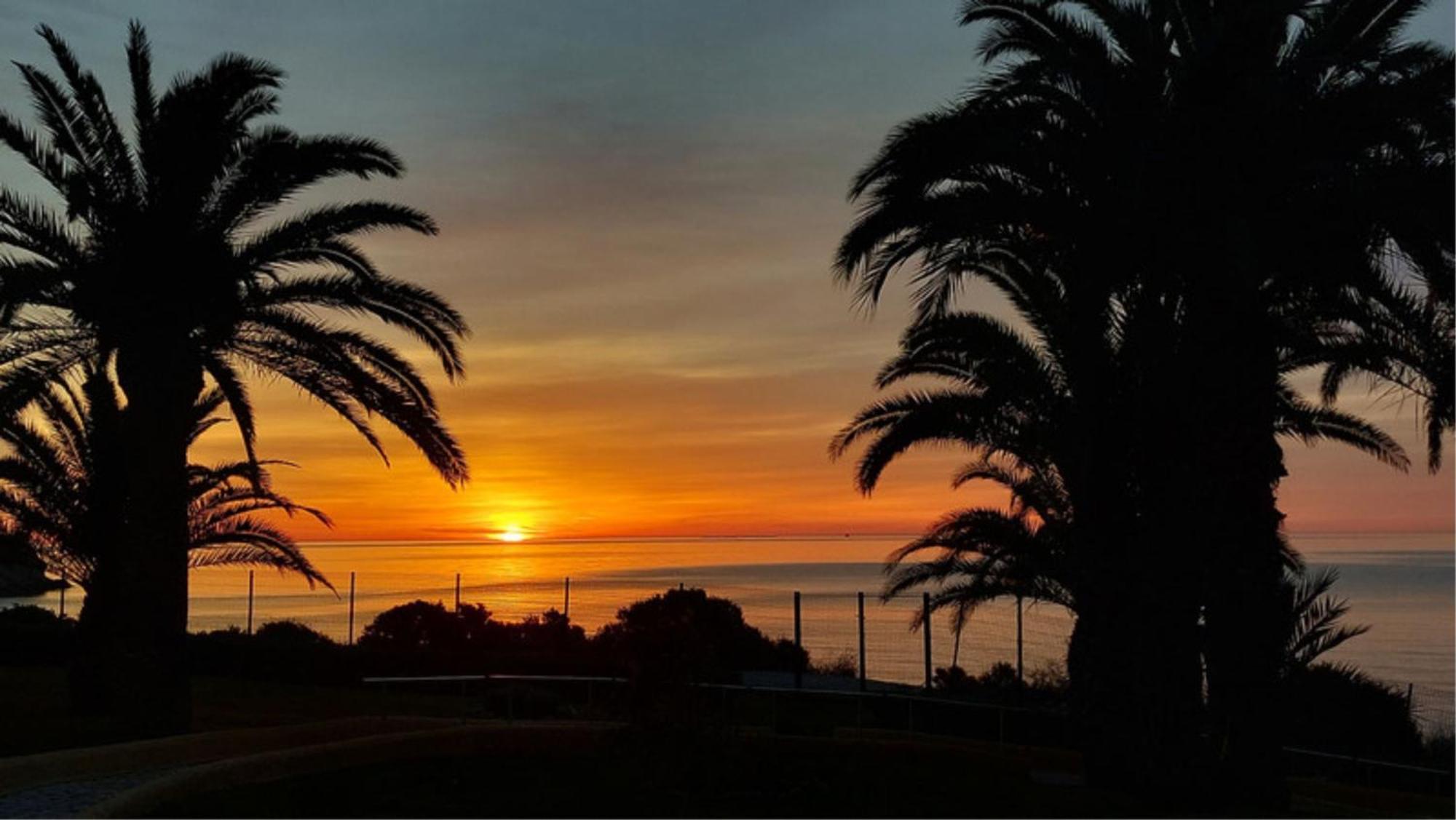 Bungalow Alkabir Playa El Campello Exteriör bild